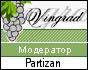 Partizan