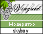 skyboy