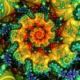 Фото участника Lateralus