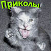 Фото участника Trahten