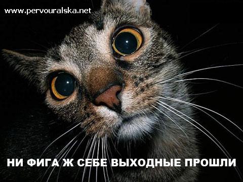 Фото участника RusA