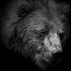 Фото участника FreePaul
